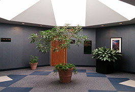 Commercial Property For Sale